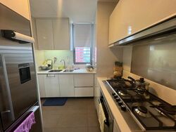 Starlight Suites (D9), Apartment #454237851